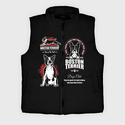 Мужской жилет Бостон-Терьер Boston Terrier / 3D-Черный – фото 1