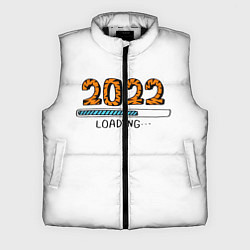 Мужской жилет 2022 загрузка