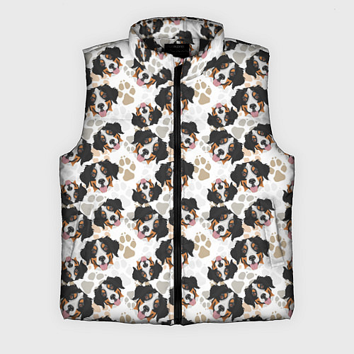 Мужской жилет Зенненхунд Бернский / 3D-Черный – фото 1