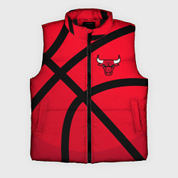 Мужской жилет Чикаго Буллз Chicago Bulls NBA, цвет: 3D-черный