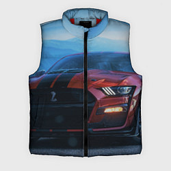 Мужской жилет Авто вечером