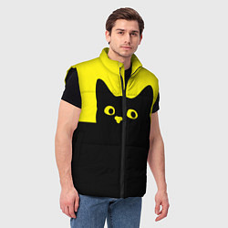 Мужской жилет Котик голова кота, цвет: 3D-черный — фото 2