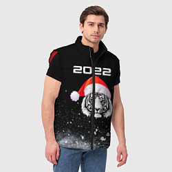 Мужской жилет Новогодний тигр 2022, цвет: 3D-красный — фото 2