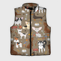 Мужской жилет У меня есть собака