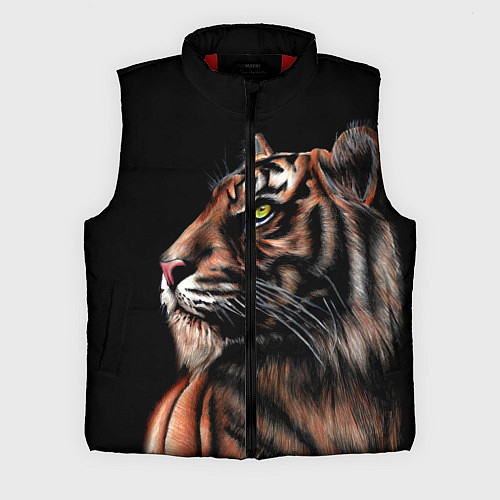 Мужской жилет Тигр в Темноте Взгляд Вверх / 3D-Красный – фото 1