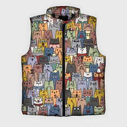 Мужской жилет The Коты, цвет: 3D-черный