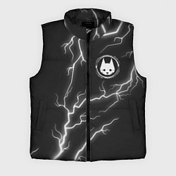 Мужской жилет Stray: Lightning