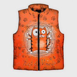 Мужской жилет Kot da Vinci