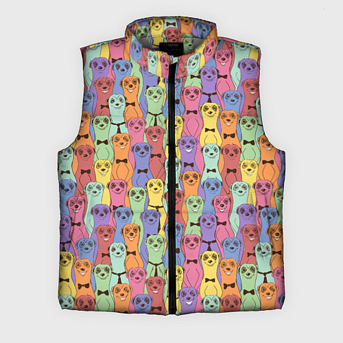 Мужской жилет Красочные Сурикаты / 3D-Светло-серый – фото 1
