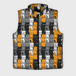 Мужской жилет Злой Кот мем, цвет: 3D-светло-серый