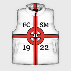 Мужской жилет FCSM-1922, цвет: 3D-светло-серый