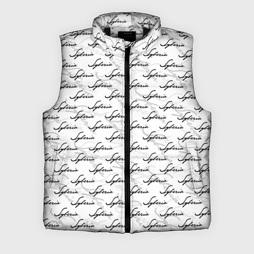 Мужской жилет Syberia Logo Pattern / 3D-Черный – фото 1