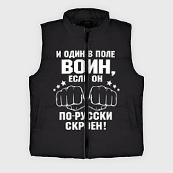 Мужской жилет Один в поле Воин Русский, цвет: 3D-черный