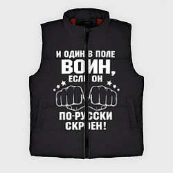 Мужской жилет Один в поле Воин Русский, цвет: 3D-красный