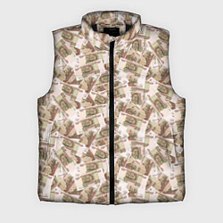 Мужской жилет Купюры 100 рублей