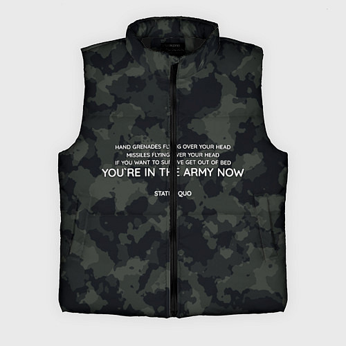 Мужской жилет ARMY NOW / 3D-Черный – фото 1