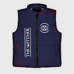 Мужской жилет ВЕДЬМАК Гранж, цвет: 3D-светло-серый
