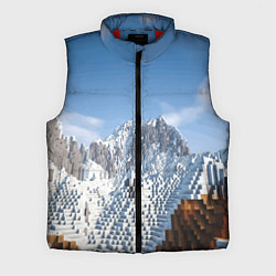 Мужской жилет Minecraft Mountains Video game