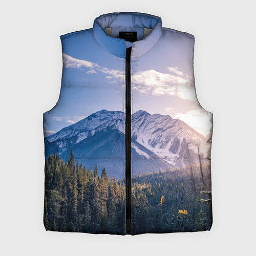 Мужской жилет Горы Лес Солнце / 3D-Светло-серый – фото 1