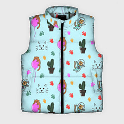 Мужской жилет ИГРИВЫЕ КОТЯТА