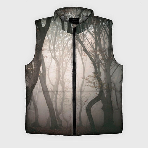 Мужской жилет Лес Туман / 3D-Светло-серый – фото 1