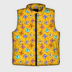 Мужской жилет Цветные котики и лапки