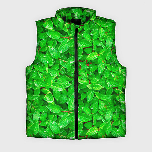 Мужской жилет Зелёные листья - текстура / 3D-Черный – фото 1