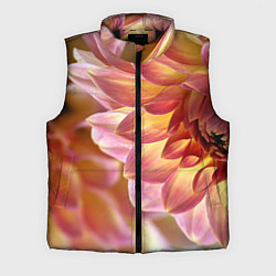 Мужской жилет Оранжевые георгины лепестки