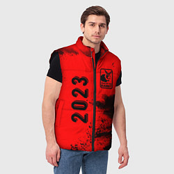 Мужской жилет 2023 Кролик в рамочке: надпись, символ, цвет: 3D-черный — фото 2