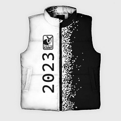 Мужской жилет НГ Кролик в рамочке: по-вертикали, цвет: 3D-черный