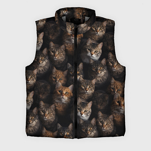 Мужской жилет Паттерн из котов / 3D-Светло-серый – фото 1
