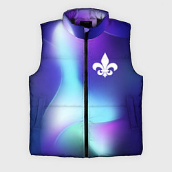 Мужской жилет Saints Row northern cold, цвет: 3D-черный