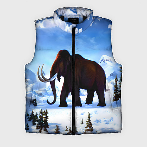 Мужской жилет Мамонт ледникового периода / 3D-Черный – фото 1
