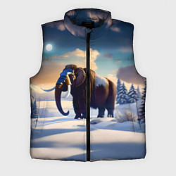 Мужской жилет Шерстистый мамонт
