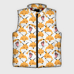 Мужской жилет Хитрые лисы