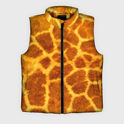 Мужской жилет Шкура жирафа - текстура