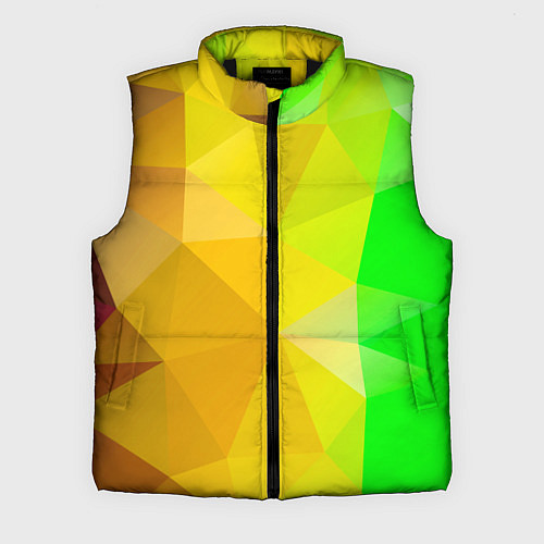 Мужской жилет Жёлто-зелёная геометрия / 3D-Черный – фото 1