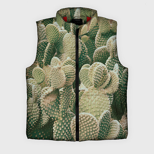 Мужской жилет Поле кактусов / 3D-Красный – фото 1