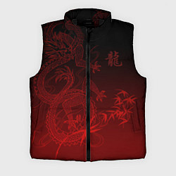 Мужской жилет Дракон в градиенте, цвет: 3D-черный