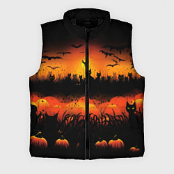 Мужской жилет Кошки хэллоуина, цвет: 3D-черный