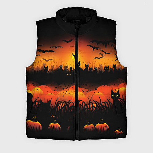 Мужской жилет Кошки хэллоуина / 3D-Черный – фото 1