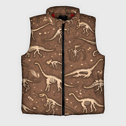 Мужской жилет Dinosaurs bones