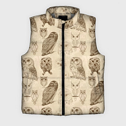 Мужской жилет Эскизы сов тетрадный лист в клетку, цвет: 3D-светло-серый