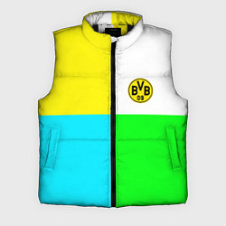 Мужской жилет Borussia color cport, цвет: 3D-черный