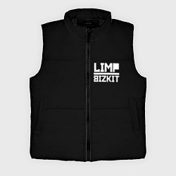 Мужской жилет Lim Bizkit logo, цвет: 3D-черный