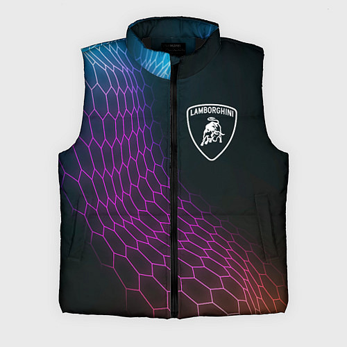 Мужской жилет Lamborghini neon hexagon / 3D-Черный – фото 1