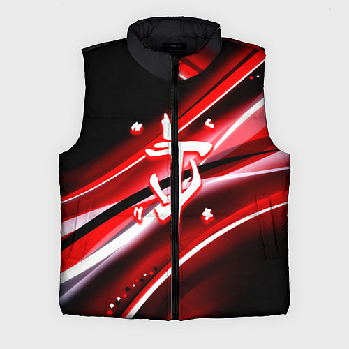 Мужской жилет Doom logo geometry / 3D-Черный – фото 1