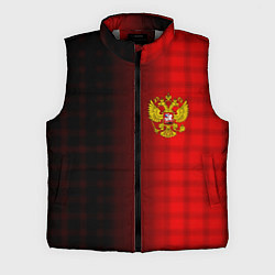 Мужской жилет Герб РФ текстура красный, цвет: 3D-светло-серый