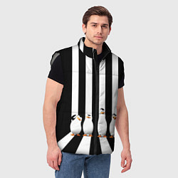 Мужской жилет Четыре пингвина, цвет: 3D-светло-серый — фото 2