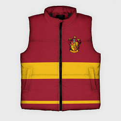 Мужской жилет Гарри Поттер Гриффиндор, цвет: 3D-черный